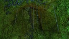 Rock Wall.jpg