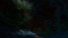 The Underbelly.jpg
