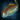 Amberjack