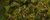 Auric Basin chests Griffonfall 1.jpg
