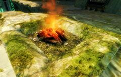 Bonfire (Brotherhood Woodlands).jpg