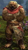 Brown Lowland Kodan (hood crossed arms).jpg