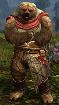 Brown Lowland Kodan (hood crossed arms).jpg