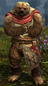 Brown Lowland Kodan (hood crossed arms).jpg