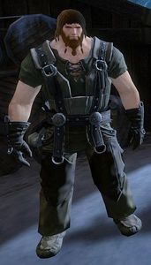 Farbjorn.jpg