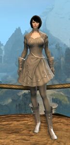 Appearance on light armor.