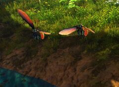 Interesting Creature duck.jpg