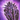 Kralkatorrik's Scale.png