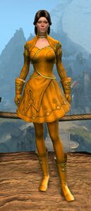 Appearance on light armor.