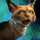Mini Orange Journeykit.png