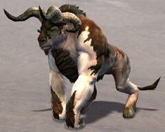 Minotaur.jpg