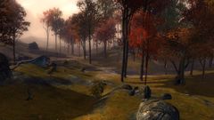 Oldgate Clearing.jpg