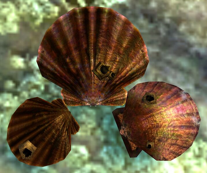 File:Orrian Oyster.jpg