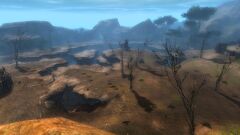 The Gallowfields.jpg