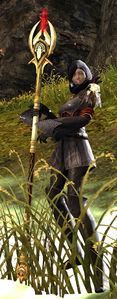 Veteran Bandit Caster.jpg