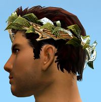 Wreath of Cooperation side.jpg