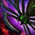 Araneae.png