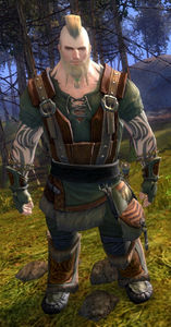 Bear Acolyte.jpg