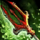 Crimson Antique Trident.png