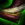 Feathered Boots.png