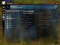 Ranks tab