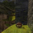 Hidden chest 4 (Salvation Pass).jpg