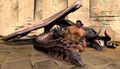 Thumbnail for version as of 15:34, 3 March 2024