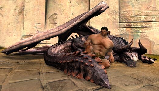 Skyscale Chair norn male.jpg