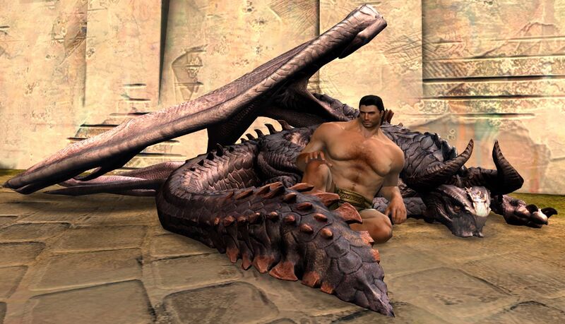 File:Skyscale Chair norn male.jpg