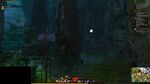 Aspect Gatherer 12 2021.jpg