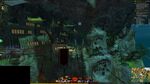 Aspect Gatherer 18 2021.jpg