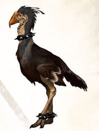 Black Moa concept art.jpg
