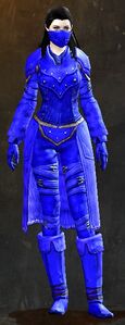 Appearance on medium armor.