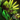 Corrosive Touch.png