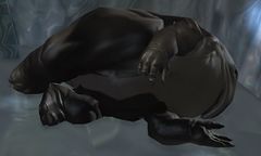 Dead Quaggan.jpg