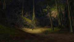 Drakken's Den.jpg