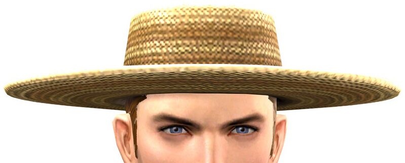 File:Flat Boatsman Hat.jpg
