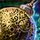 Gold Ball Ornament.png