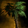 Palm Tree.png