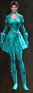 Appearance on light armor.