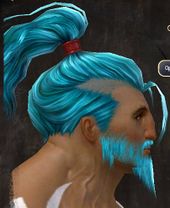 Unique norn male hair side 13.jpg