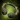 Ancient Boreal Focus.png