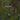 Bluebriar map.jpg