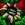 Drover Shoulders.png