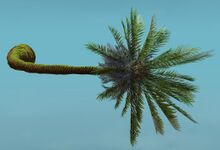 Island Tree (Curved) top.jpg