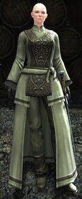 Owl Shaman Ulgadis.jpg