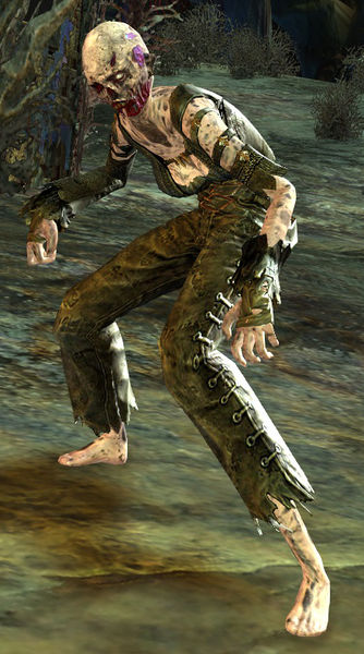 File:Risen Thrall.jpg