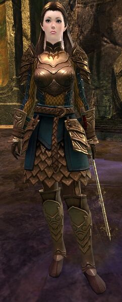 File:Shining Blade Captain.jpg