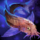 Stone Loach.png