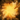 Amber Agony Lens.png